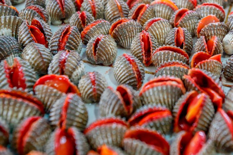 Vamos revelar-lhe os 10 alimentos mais letais para o consumo humano. alimentos mais perigosos
