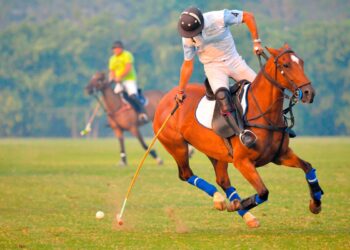 Prepare-se para desvendar o fascinante mundo dos desportos de elite!