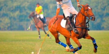 Prepare-se para desvendar o fascinante mundo dos desportos de elite!