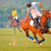 Prepare-se para desvendar o fascinante mundo dos desportos de elite!