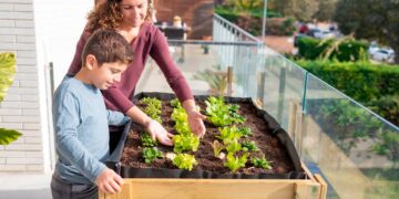 Descubra os segredos da horta que se renova sozinha! vegetais para plantar