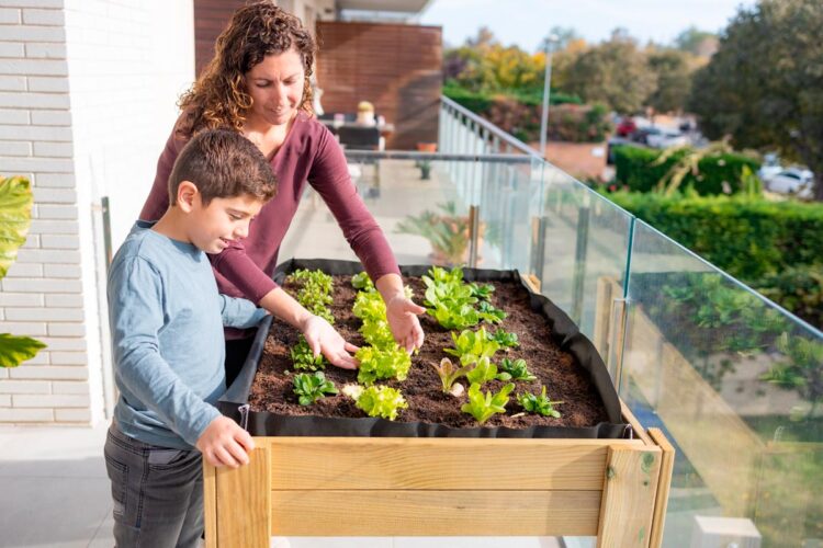 Descubra os segredos da horta que se renova sozinha! vegetais para plantar