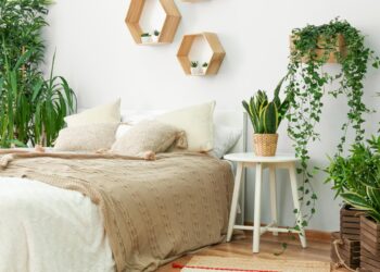 Transforme o seu quarto num oásis de tranquilidade com estas 9 plantas cuidadosamente selecionadas.