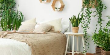 Transforme o seu quarto num oásis de tranquilidade com estas 9 plantas cuidadosamente selecionadas.