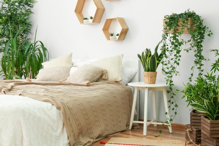 9 Plantas para o quarto que melhoram o seu descanso Transforme o seu quarto num oásis de tranquilidade com estas 9 plantas cuidadosamente selecionadas.