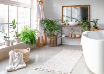Descubra como transformar a sua casa de banho num oásis de frescura e tranquilidade. plantas para a casa de banho