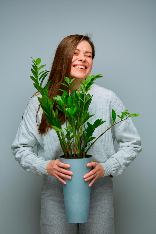 Conheça as sete plantas mais eficazes em purificar o ar, tornando o seu espaço mais fresco e limpo.