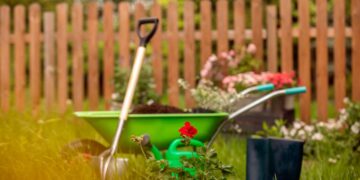 Plantas comuns que podem representar um perigo, mesmo que pareçam inofensivas à primeira vista. plantas venenosas