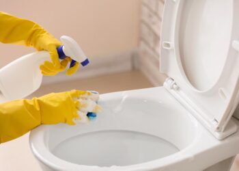 Descubra a importância da frequência adequada nas limpezas domésticas. fazer as limpezas