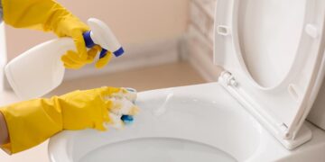 Descubra a importância da frequência adequada nas limpezas domésticas. fazer as limpezas