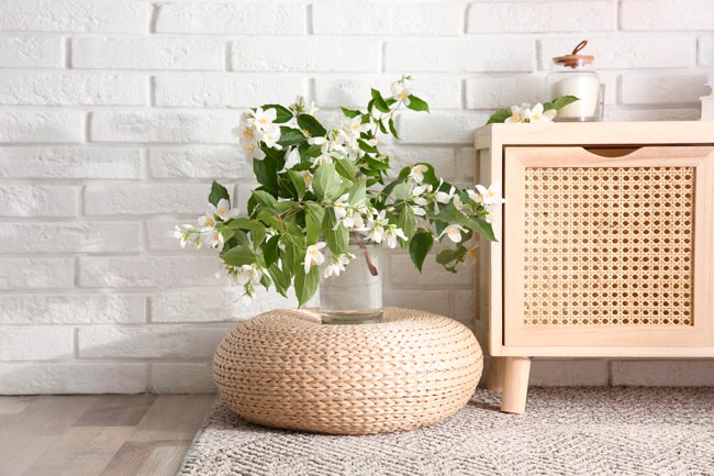 9 Plantas para o quarto que melhoram o seu descanso Transforme o seu quarto num oásis de tranquilidade com estas 9 plantas cuidadosamente selecionadas.