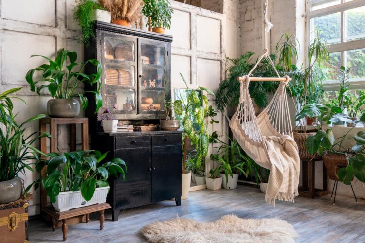 TOP10 das plantas tóxicas que podem representar perigo no seu lar Descubra quais são estas plantas, os seus efeitos nocivos e como identificá-las. plantas tóxicas