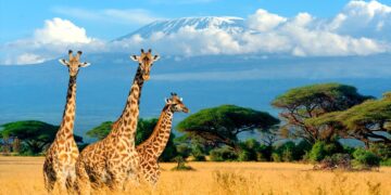 Descubra os segredos económicos dos países mais prósperos do continente africano. países mais ricos de África