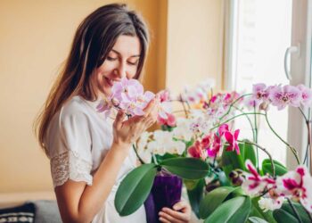 8 dicas essenciais para cuidar de orquídeas
