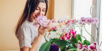8 dicas essenciais para cuidar de orquídeas