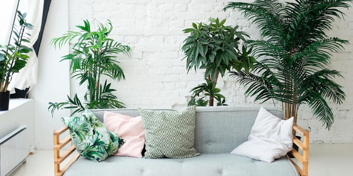 8 plantas que purificam o ar em casa e ficaram famosas por um estudo da NASA