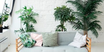 Melhore a qualidade do ar da sua casa com estas oito plantas que purificam recomendadas pela NASA.