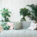 Melhore a qualidade do ar da sua casa com estas oito plantas que purificam recomendadas pela NASA.