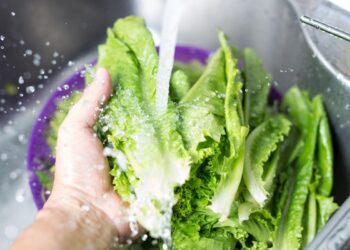 Aprenda a higienizar alface