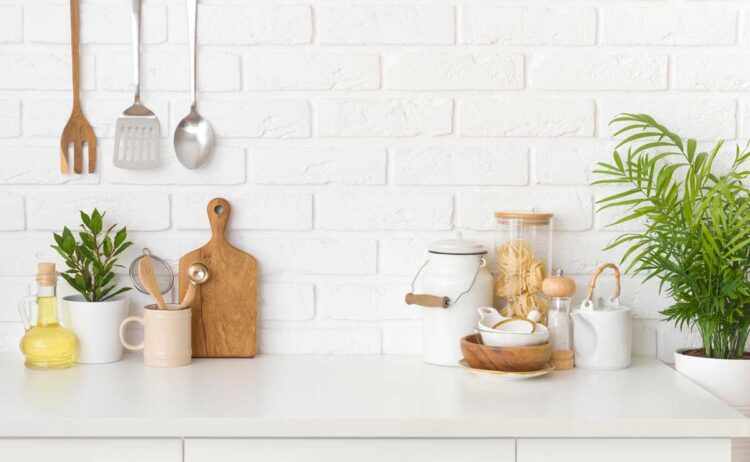 As 7 melhores plantas para a cozinha