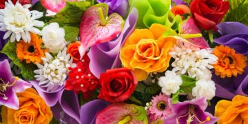 Faça isto para as plantas fazerem mais flores