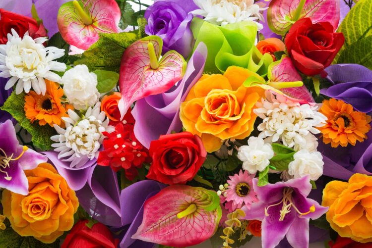 Faça isto para as plantas fazerem mais flores Faça isto para as plantas fazerem mais flores
