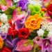 Faça isto para as plantas fazerem mais flores