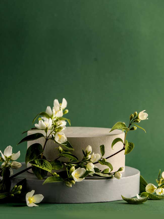 As melhores plantas que melhoram a energia do seu lar Jasmim