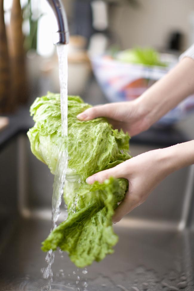 Aprenda a higienizar alface Lavar a alface