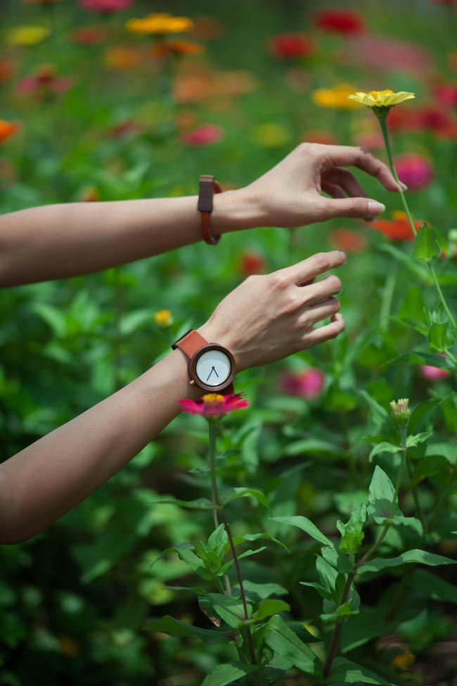 Faça isto para as plantas fazerem mais flores Puxar flores