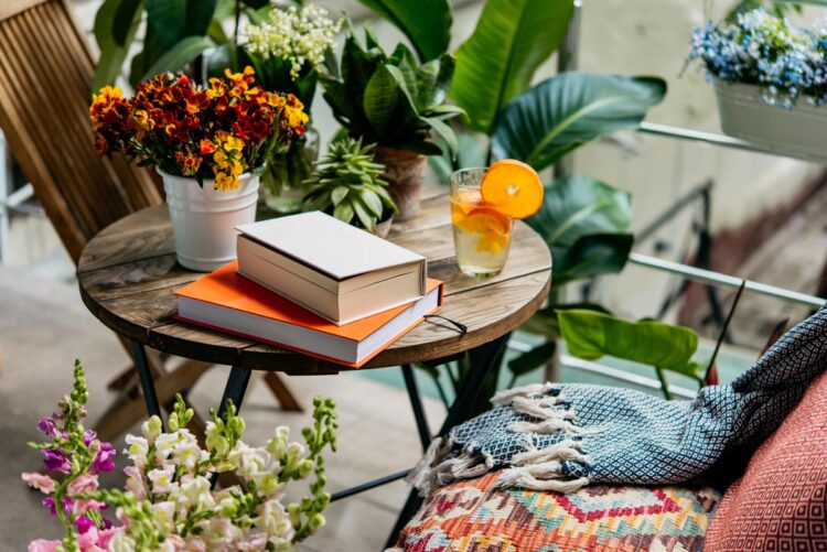 TOP10 das melhores plantas interiores com flores