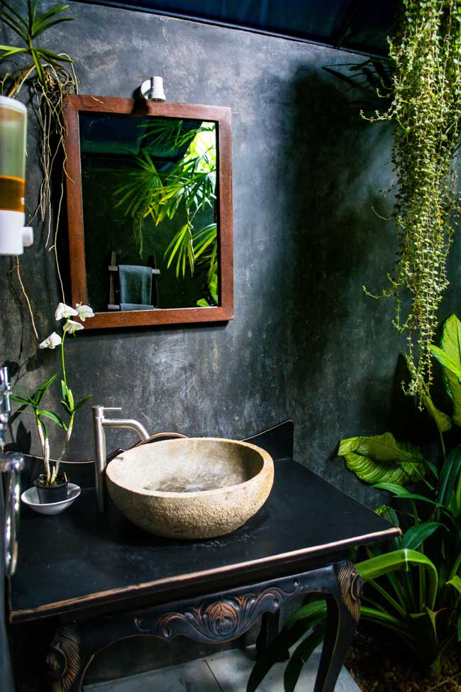 plantas casa de banho