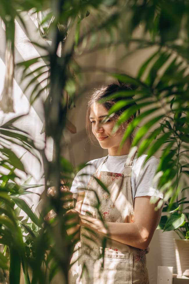 12 erros na decoração da casa Demasiadas plantas em casa