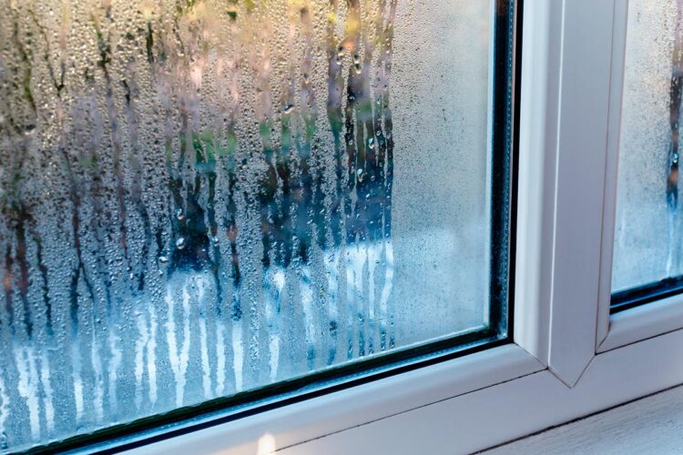 Como prevenir e eliminar a humidade em casa