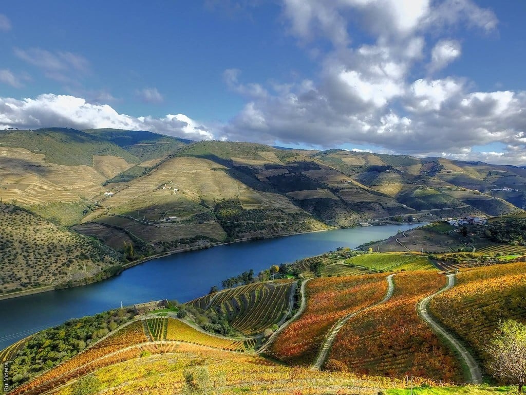 Rio Douro