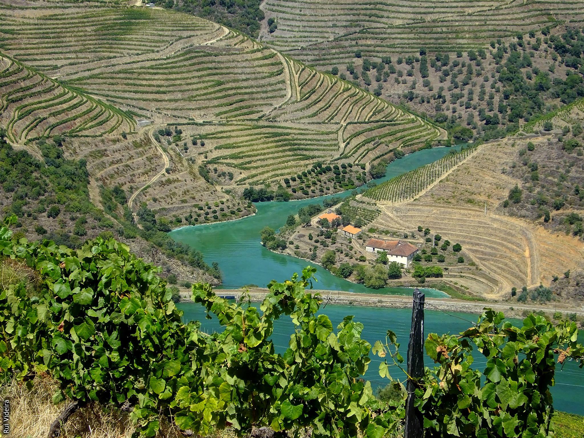 Rio Douro