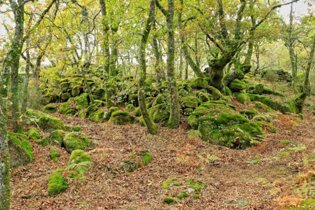 Descubra a misteriosa aldeia medieval abandonada no Gerês 