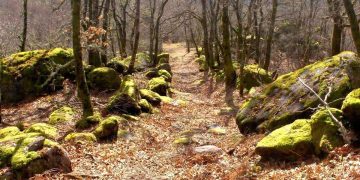 Descubra a misteriosa aldeia medieval abandonada no Gerês