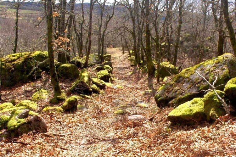 Descubra a misteriosa aldeia medieval abandonada no Gerês
