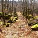 Descubra a misteriosa aldeia medieval abandonada no Gerês Descubra a misteriosa aldeia medieval abandonada no Gerês