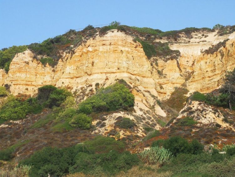 Quando os garimpeiros apanhavam pepitas de ouro no rio Tejo e na região de Lisboa