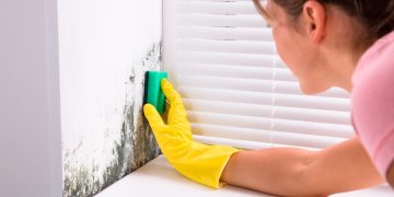 Como limpar o bolor nas paredes de casa