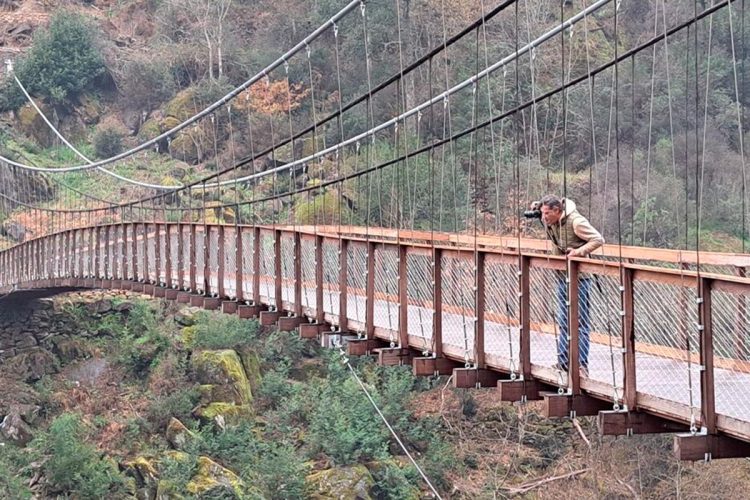 Já se pode caminhar na ponte de arame com quase 100 anos que liga o Minho ao distrito do Porto