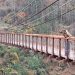 Já se pode caminhar na ponte de arame com quase 100 anos que liga o Minho ao distrito do Porto Já se pode caminhar na ponte de arame com quase 100 anos que liga o Minho ao distrito do Porto