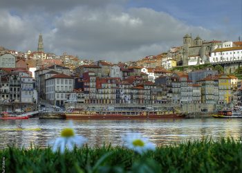O significado histórico de 4 palavras à moda do Porto