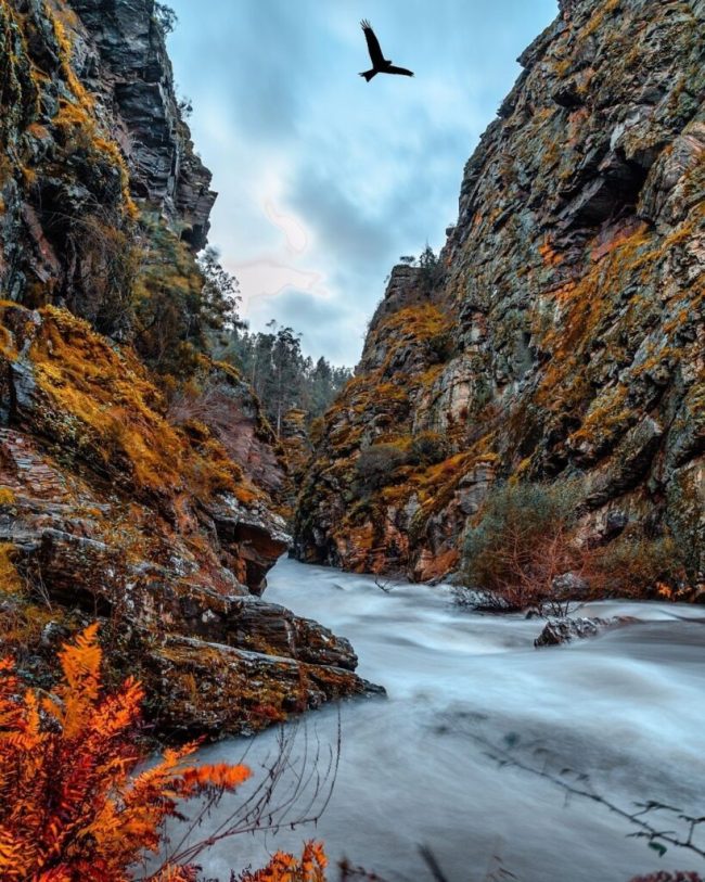 Senhora do Salto (Marco Alves) 02