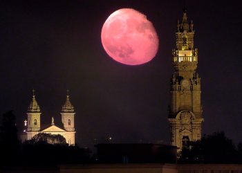 A mística de ser tripeiro