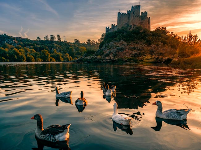 Castelo de Almourol: o mais importante castelo dos Templários em Portugal