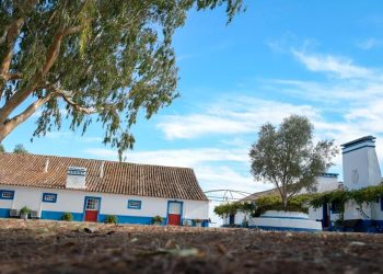 Monte do Sobral: o refúgio secreto onde começou a liberdade