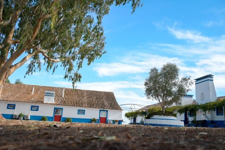 Monte do Sobral: o refúgio secreto onde começou a liberdade